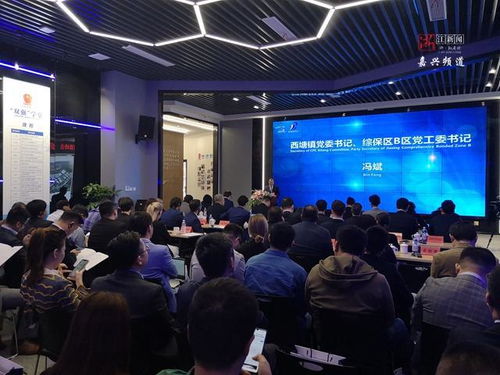 跨國(guó)合作再深化 中歐企業(yè)家齊聚嘉善西塘話發(fā)展